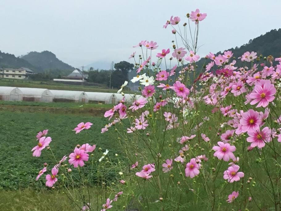 古民家 羅美 Japanese Old Style House La Vie Hotel Ayabe Екстериор снимка